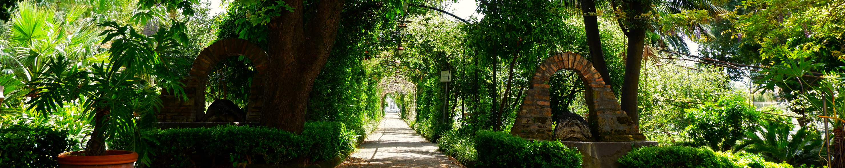 banner 06